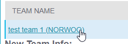 select team name