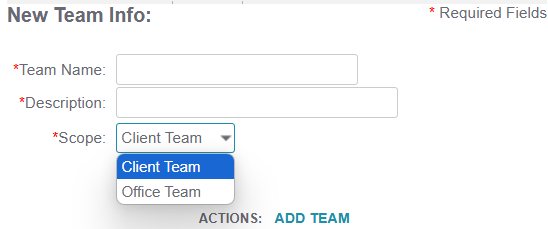 new team info fields